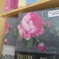 popielata-posciel-w-roze.jpg