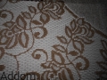 DSCN2584.JPG