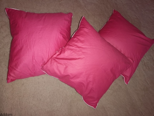 jaśki z pierza 40x40.jpeg