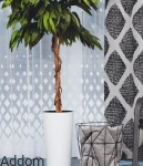 Firany żakardowe w romby