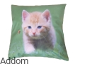 poszewki z kotkiem.jpg