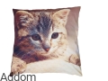 poszewka z burym kotkiem.jpg